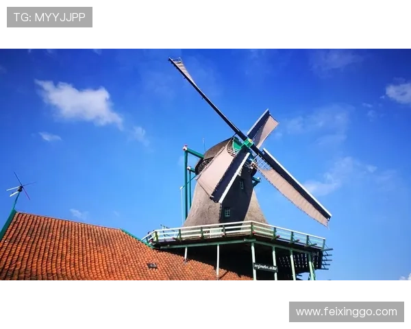 《风车》：一部描绘时代变迁与人生浮沉的温情史诗